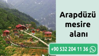 Arapdüzü mesire alanı